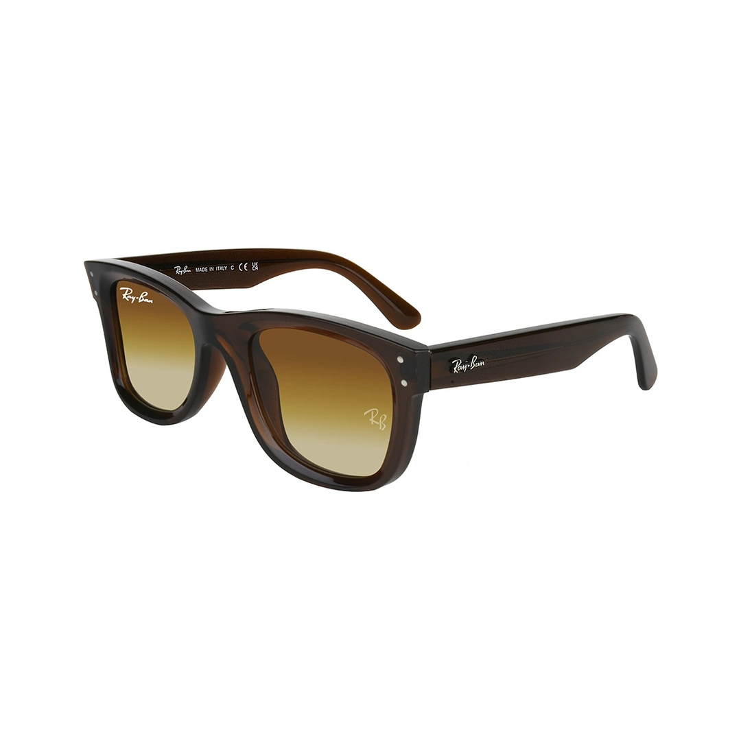 Ray Ban Wayfarer Reverse RBR0502S Brown Sunglasses