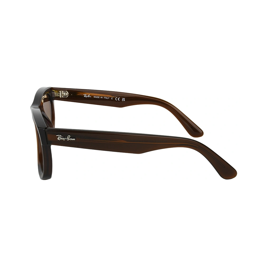 Ray Ban Wayfarer Reverse RBR0502S Brown Sunglasses
