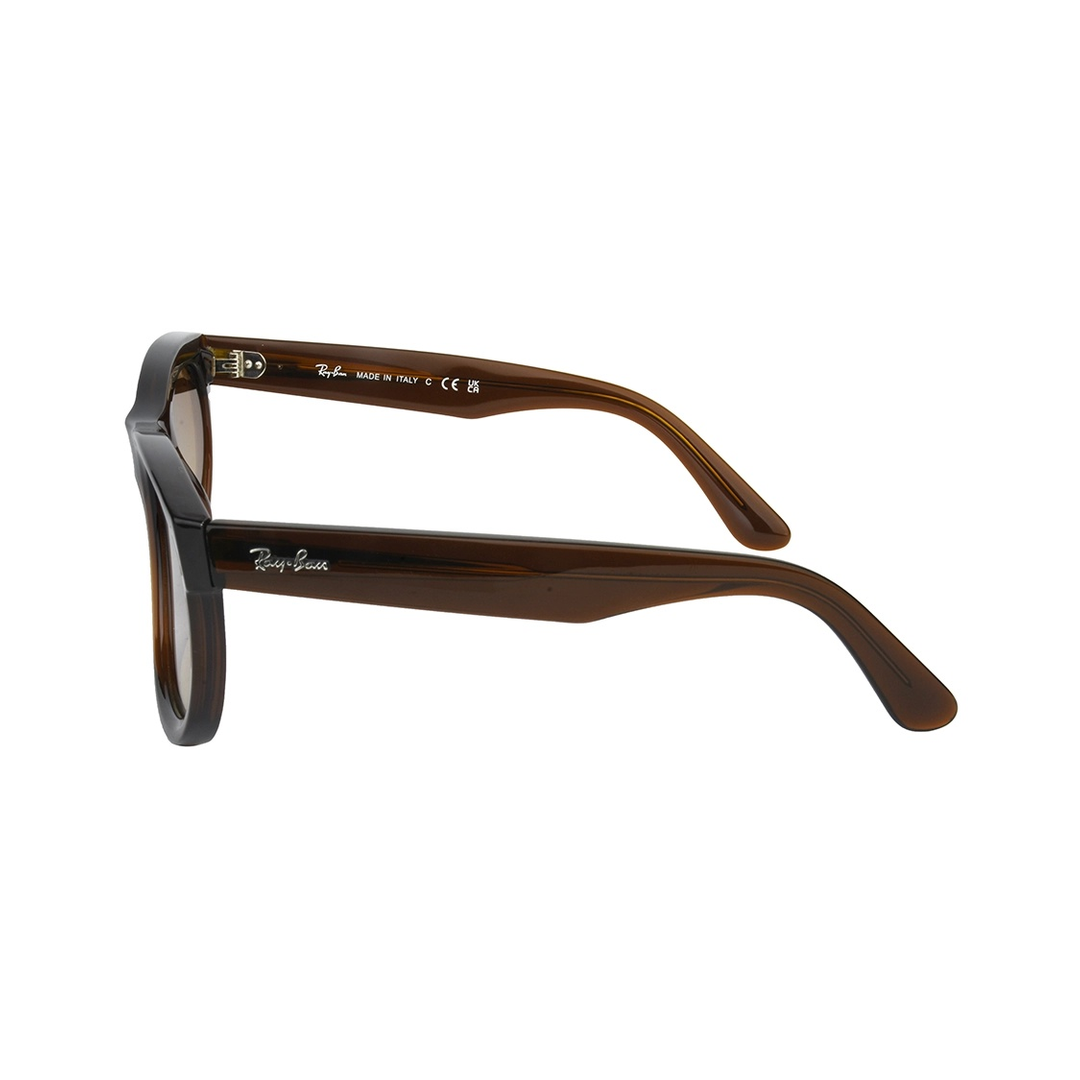 Ray Ban Wayfarer Reverse RBR0502S Large Brown Sunglasses